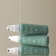 Leave in Hair and Scalp Treatment